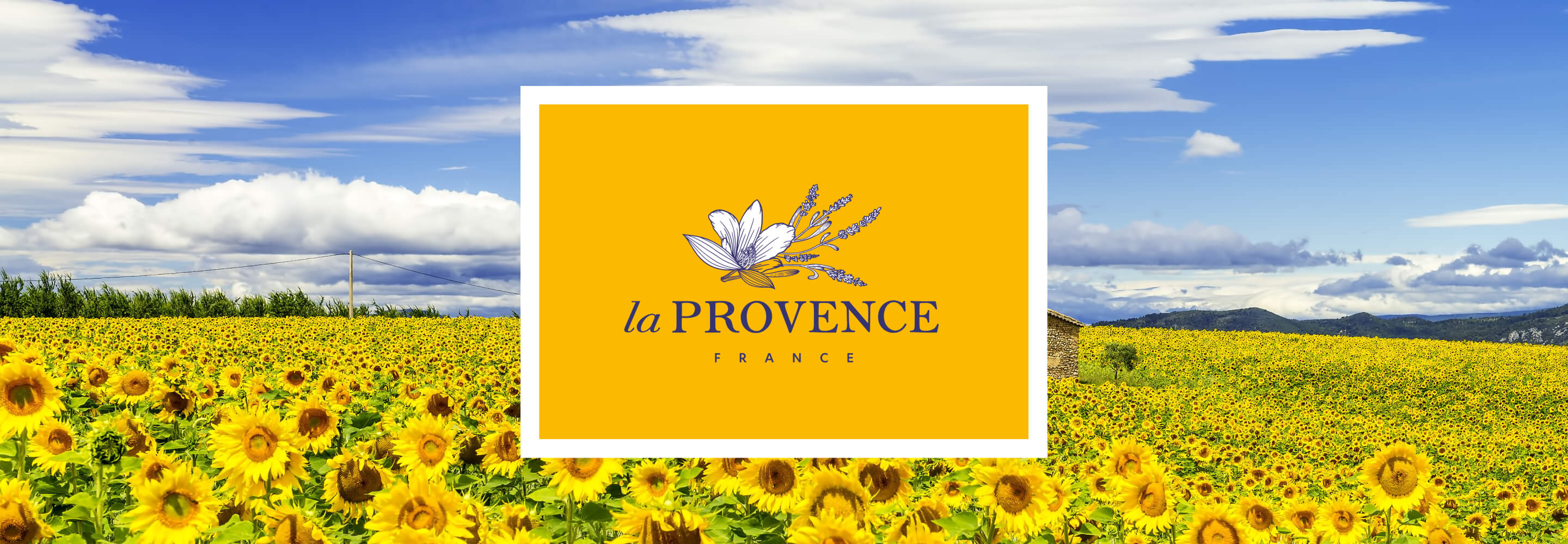 La PROVENCE　トップ画像